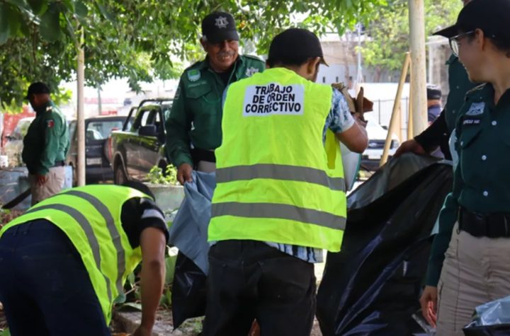 Personas que contaminan pagan su deuda limpiando: en Progreso