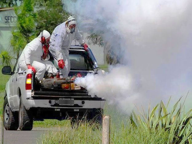 Fumigación en Mérida por la SSY