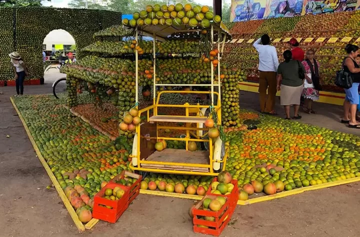 Afinan detalles para la Feria de la Naranja en Oxkutzcab