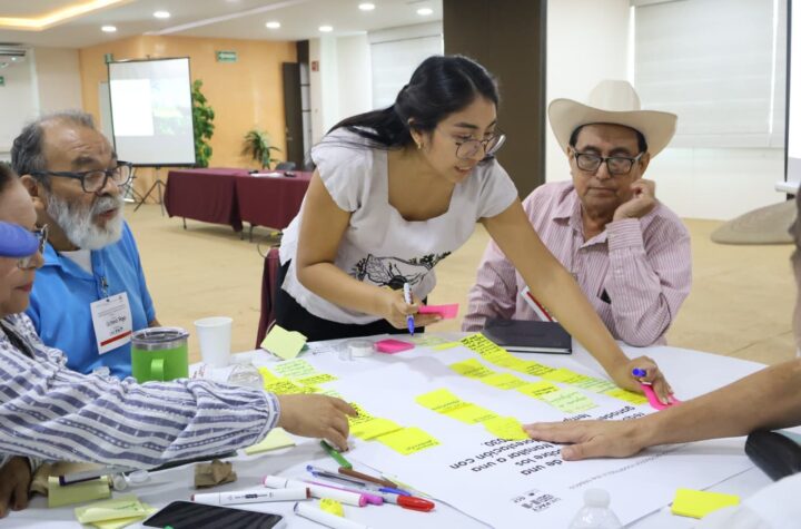 Yucatán avanza hacia un modelo ganadero sustentable y libre de deforestación