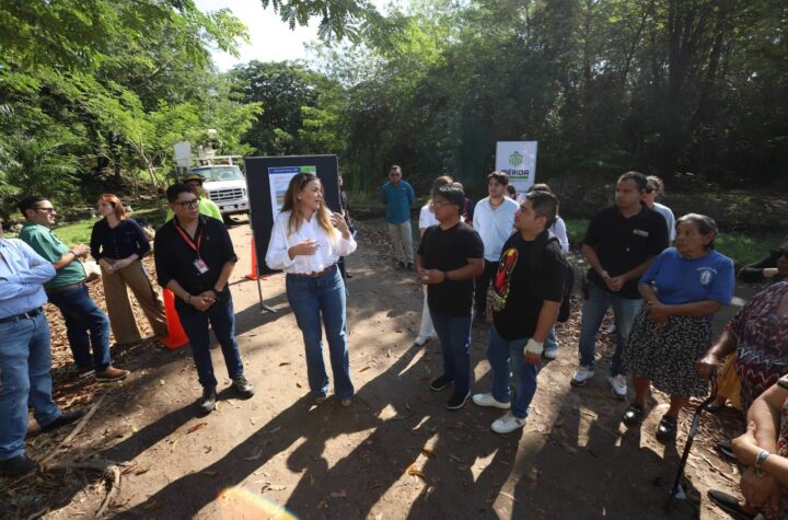 Cecilia Patrón: Avanzan los trabajos del primer Corredor Verde de Mérida con infraestructura sustentable y sostenible