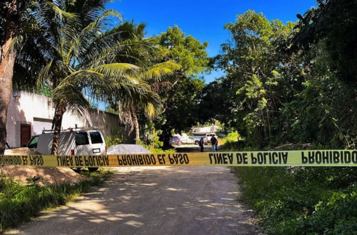 Madres buscadoras hallan esperanza entre restos humanos en Bacalar