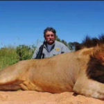 Tragedia en Gabón: elefantes matan a cazador experimentado