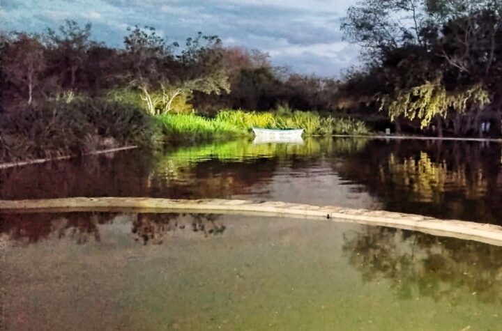 Una cadena de heroísmo y tragedia sacude a una familia en Izamal