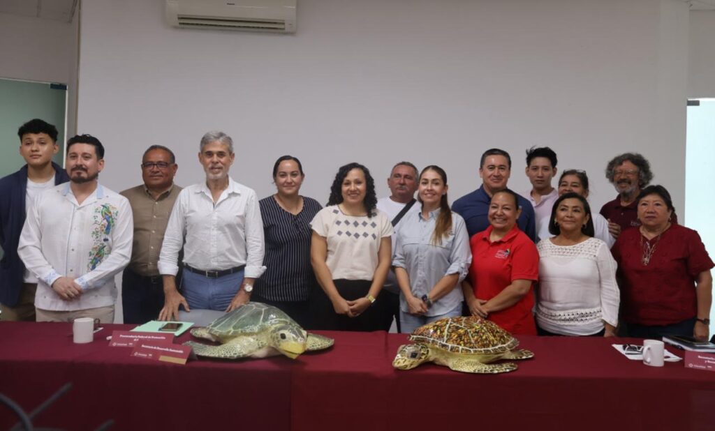 Inicia temporada de anidación de tortugas marinas con protección en 279 kilómetros de costa yucateca