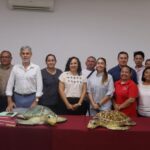 Inicia temporada de anidación de tortugas marinas con protección en 279 kilómetros de costa yucateca