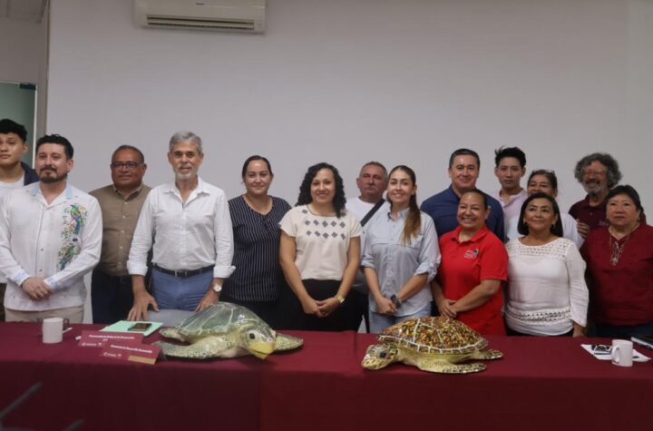 Inicia temporada de anidación de tortugas marinas con protección en 279 kilómetros de costa yucateca