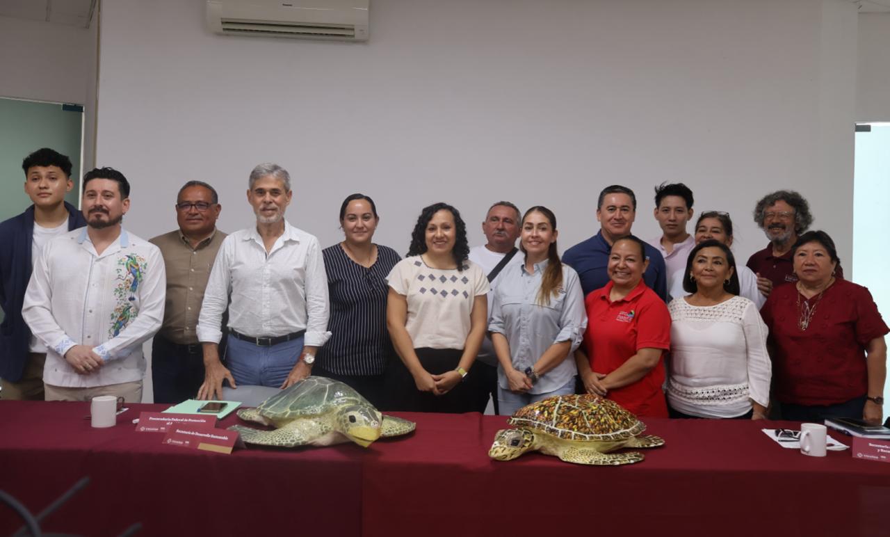 Inicia temporada de anidación de tortugas marinas con protección en 279 kilómetros de costa yucateca