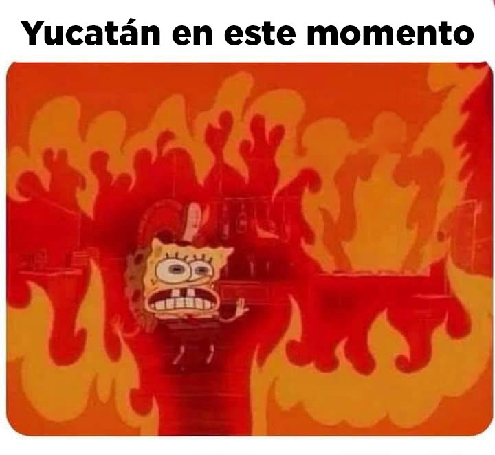 Yucatán no está fallando… está “horneando” en modo experto