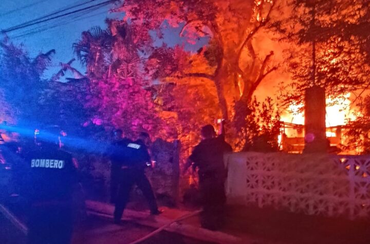 Las llamas la despiertan para poner a salvo a su familia