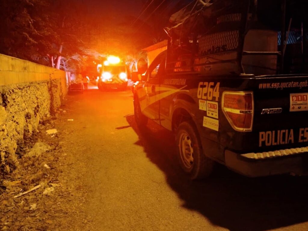 Tragedia en Komchén: abejas atacan a una familia y matan a su mascota