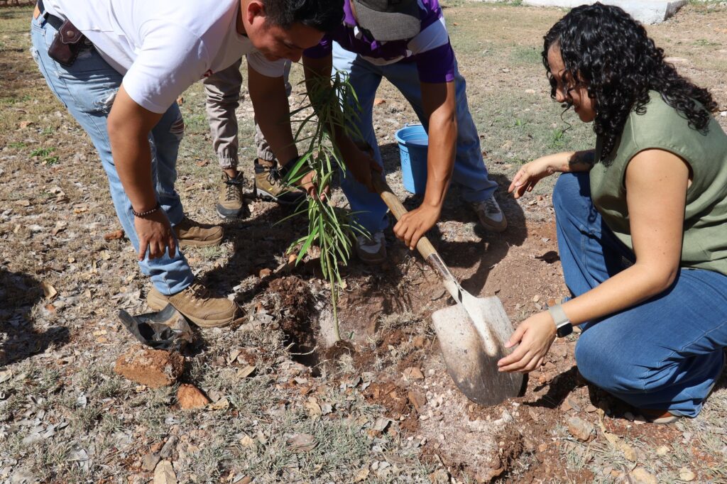 Reverdece la UTP con el programa “Renacimiento Verde en tu Escuela”