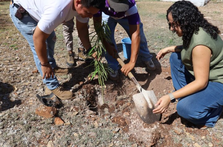 Reverdece la UTP con el programa “Renacimiento Verde en tu Escuela”
