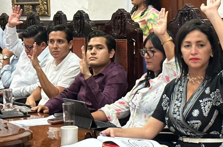 Adrián Gorocica propone arborización estratégica orientada al peatón y mayor coordinación en el Cabildo de Mérida