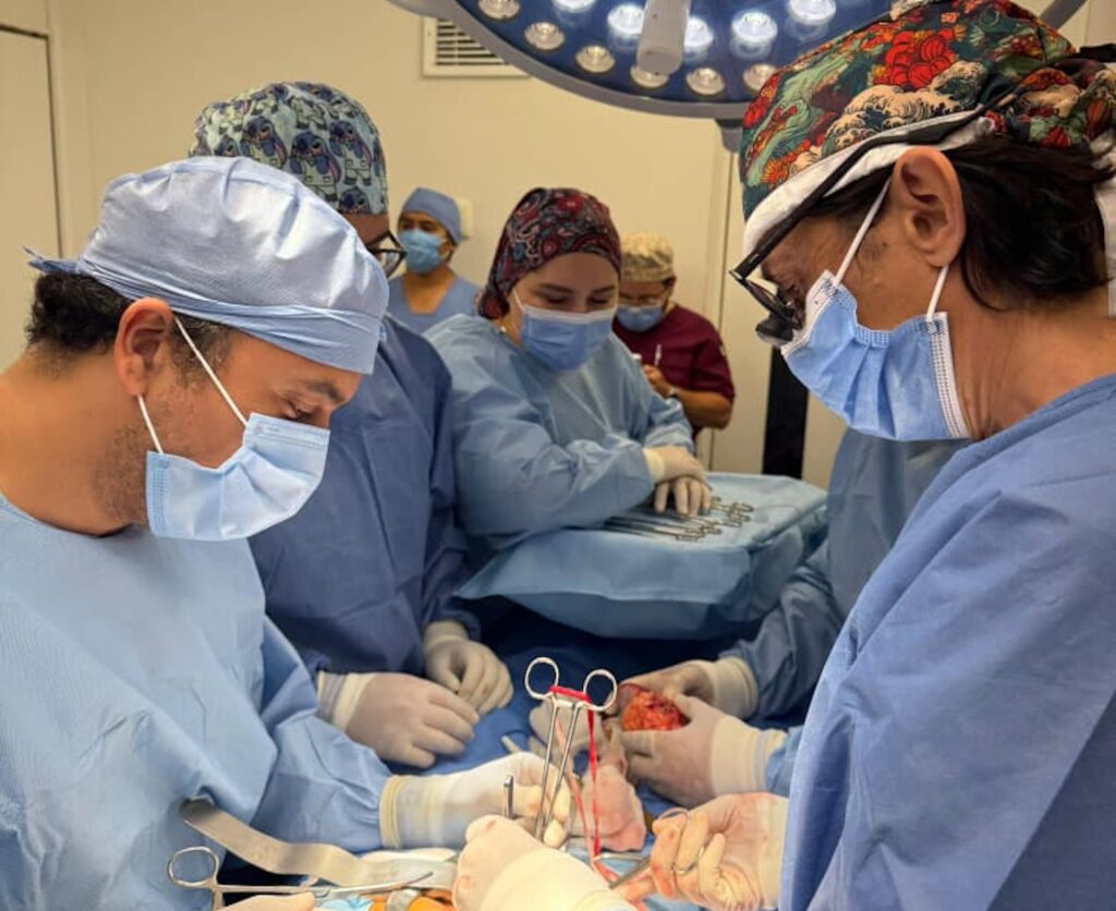 Donación multiorgánica en Yucatán permite salvar y mejorar la vida de pacientes en espera de trasplante