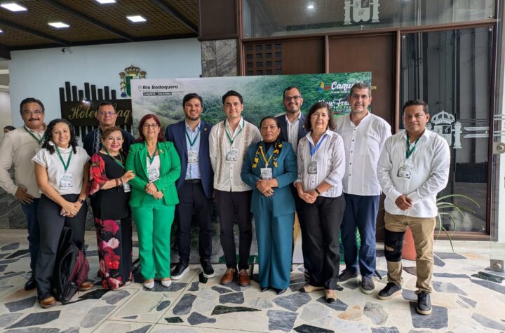 Yucatán impulsa la bioeconomía forestal y el financiamiento climático