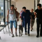 Zeus regresa a su hogar