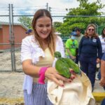 Resguardan lorito rescatado durante caminata en la Colonia Vergel lll; recibirá atención especializada en Animaya