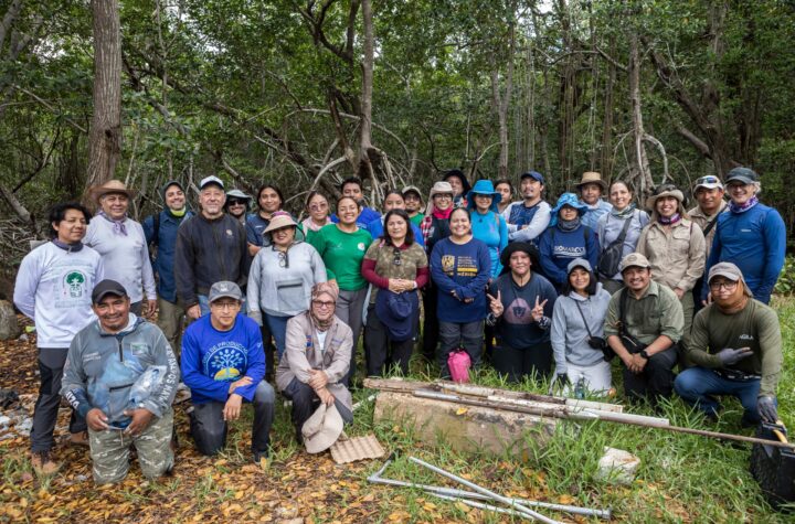Especialistas crean red de carbono azul para conservar ecosistemas costeros
