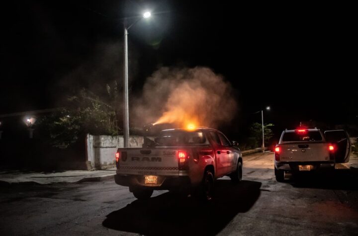 Yucatán refuerza protección contra enfermedades transmitidas por vector
