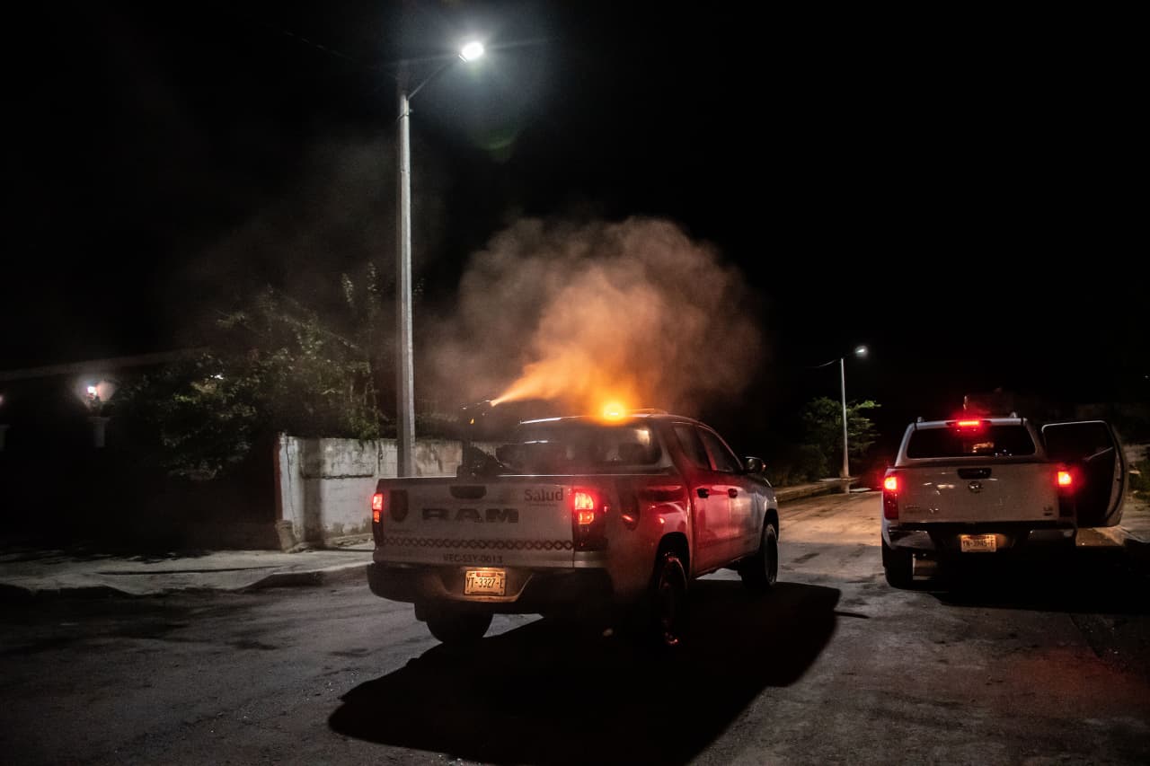 Yucatán refuerza protección contra enfermedades transmitidas por vector