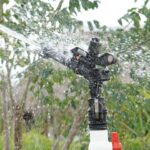 Sistema de riego con paneles solares mejora producción agrícola en Motul
