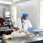 Yucatán mantiene cinco años sin rabia en perros y gatos; SSY llama a la tenencia responsable