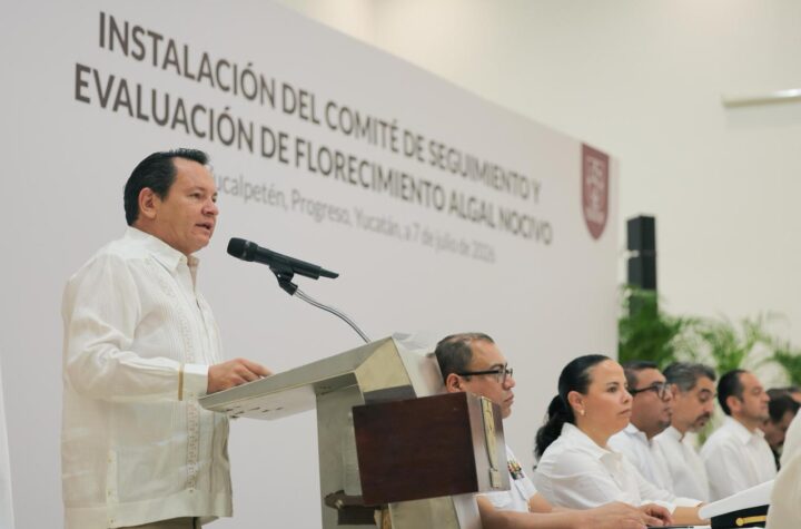 Playas de Yucatán, vigiladas y seguras: Gobierno del Renacimiento Maya activa monitoreo permanente contra la marea roja