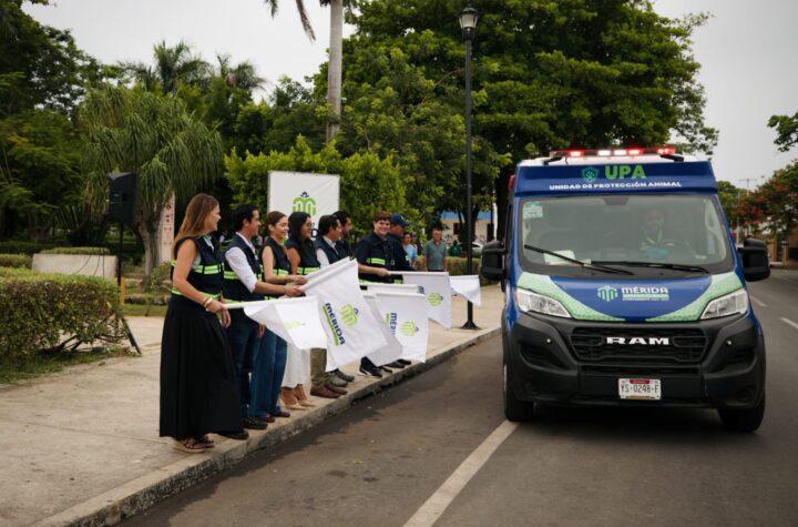 Encabeza Cecilia Patrón Mega Operativo de Protección Animal con más de 20 brigadas distribuidas por toda la ciudad