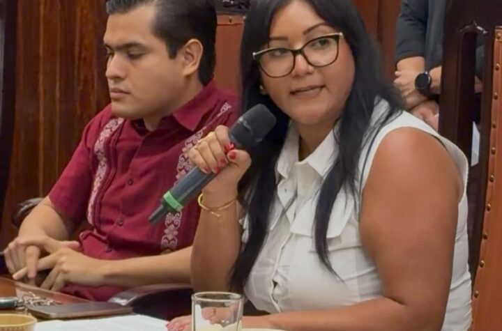 Mérida avanza hacia un nuevo Reglamento de Protección y Bienestar Animal