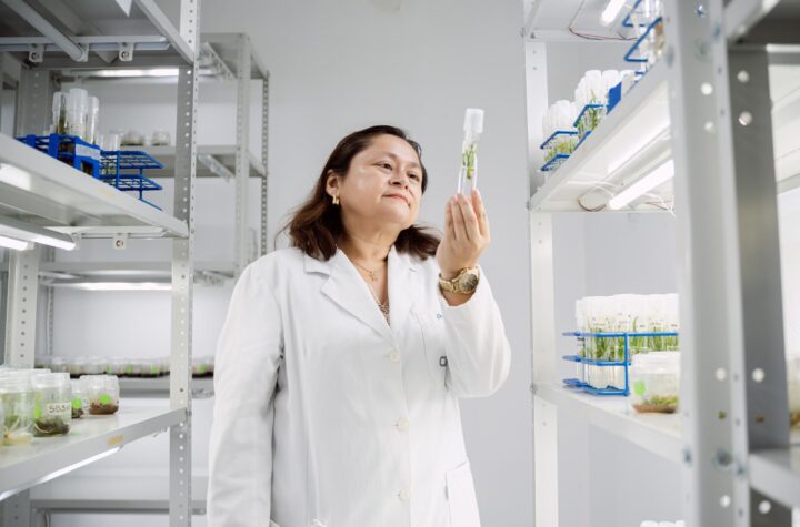 Especialistas mundiales en biotecnología se reunirán en Yucatán
