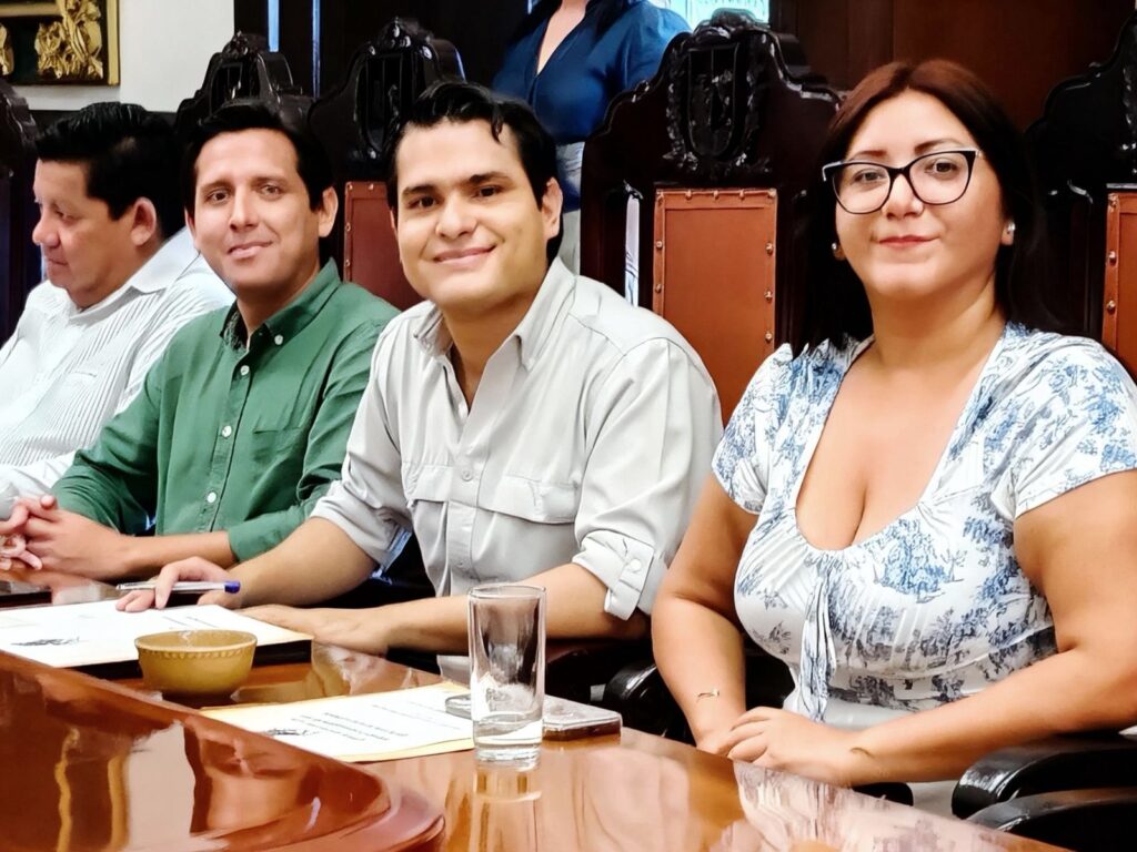 Pide el regidor Adrián Gorocica garantizar calidad y transparencia en obras de bacheo y alumbrado público