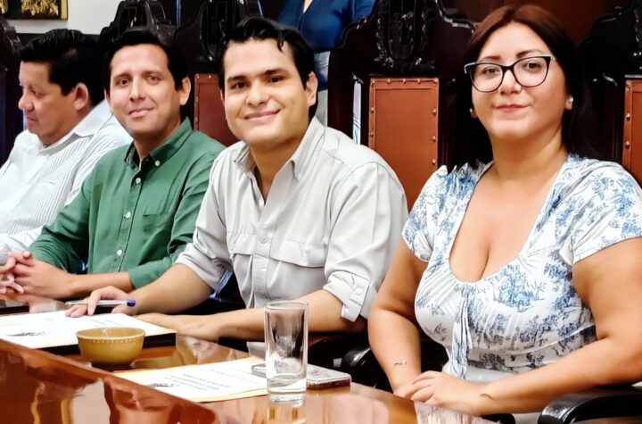 Pide el regidor Adrián Gorocica garantizar calidad y transparencia en obras de bacheo y alumbrado público