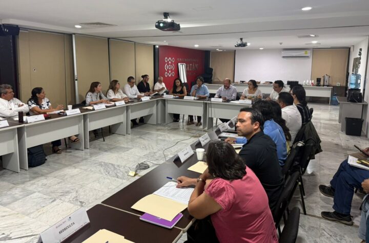 Fomentan desarrollo económico de comunidades mayas a través del turismo