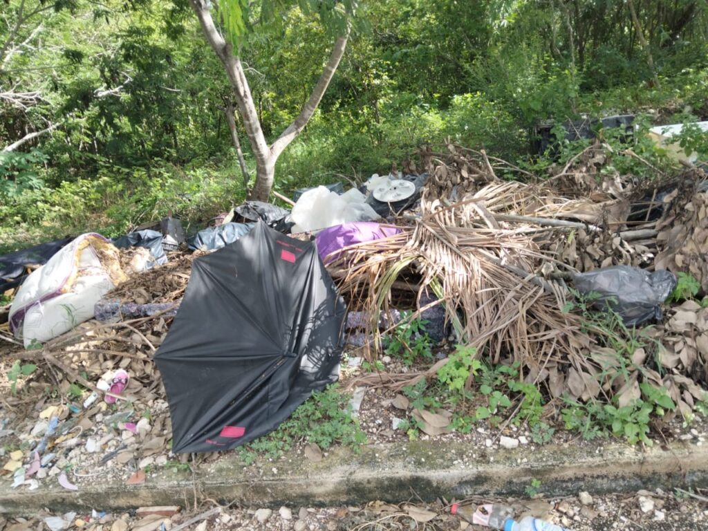 Vecinos de Ángeles Caucel exigen atención a terrenos baldíos por inseguridad