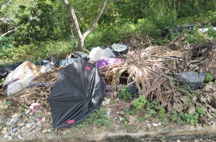 Vecinos de Ángeles Caucel exigen atención a terrenos baldíos por inseguridad