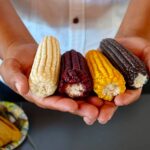 Celebran al maíz como patrimonio biocultural en el Gran Museo del Mundo Maya