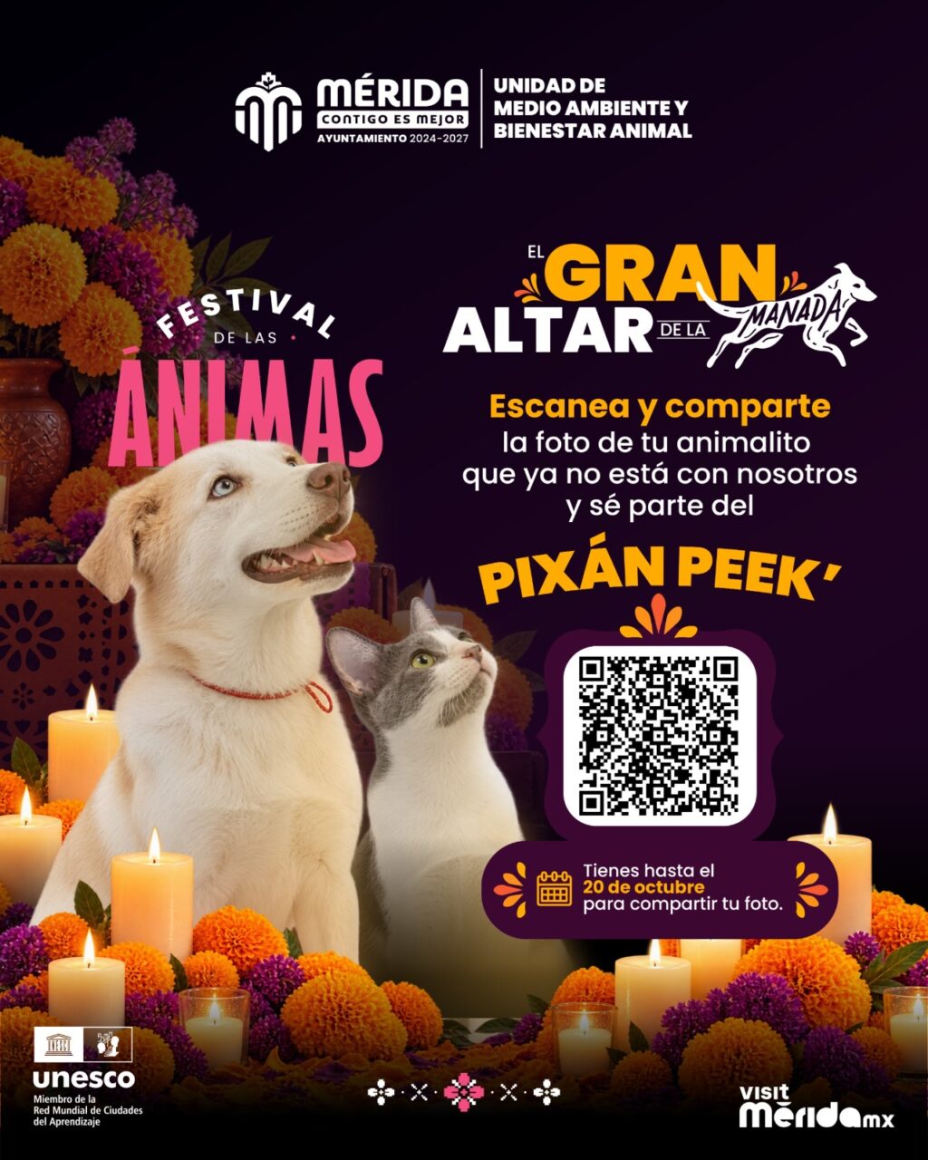 Pixán Peek del Ayuntamiento de Mérida, oportunidad para recordar a perros y gatos que dejaron huella.