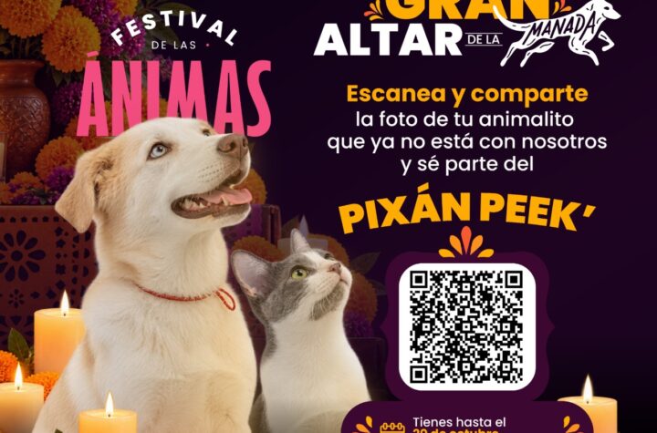 Pixán Peek del Ayuntamiento de Mérida, oportunidad para recordar a perros y gatos que dejaron huella.