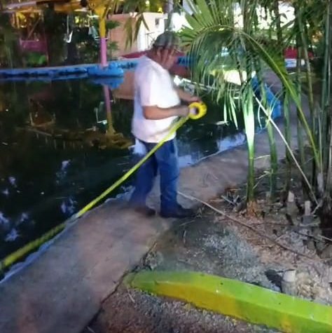 Ayuntamiento de Mérida inicia protocolos preventivos en el lago del Centenario y el humedal del Parque Ecológico del Poniente.