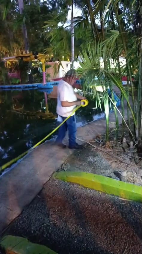 Ayuntamiento de Mérida inicia protocolos preventivos en el lago del Centenario y el humedal del Parque Ecológico del Poniente.